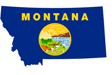 Montana Stun Gun and TASER Laws